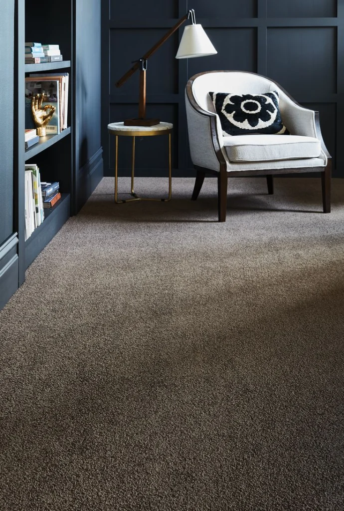 Shop Our Wall To Wall Carpets By Colors