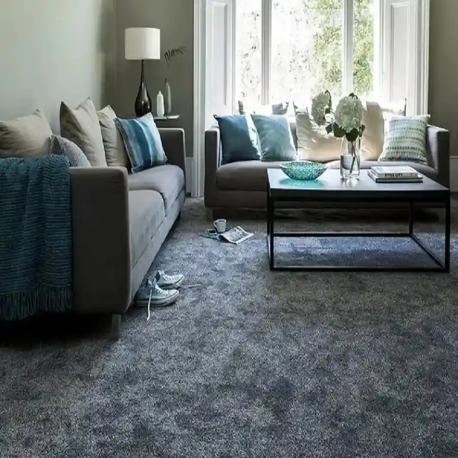 Modern grey carpet